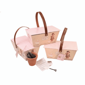 Cesta Cartonada com Kit Jardinagem (Completo)